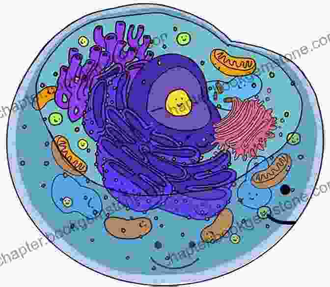 A Cartoon Depicting The Structure Of A Cell The Cartoon Guide To Biology