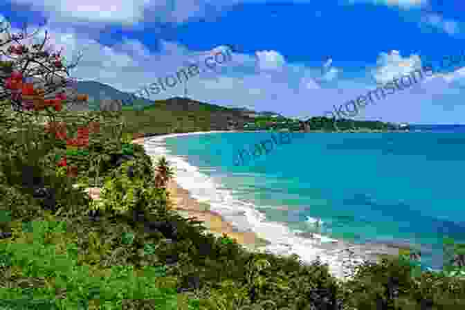 A Photo Of The Southern Coast Of Puerto Rico, Showing The Beautiful Beaches, Clear Waters, And Lush Green Hills. The Island Hopping Digital Guide To Puerto Rico Part II The South Coast: Including La Parguera Guanica Ponce Salinas Jobos And Puerto Patillas