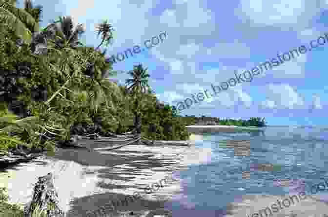 A Pristine Beach On The Island Of Kosrae Nowhere Slow: Eleven Years In Micronesia