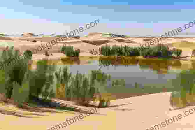 A Sand Dune With A Mirage Of A Lake Appearing In The Distance Desert Memories (Directions) Ariel Dorfman