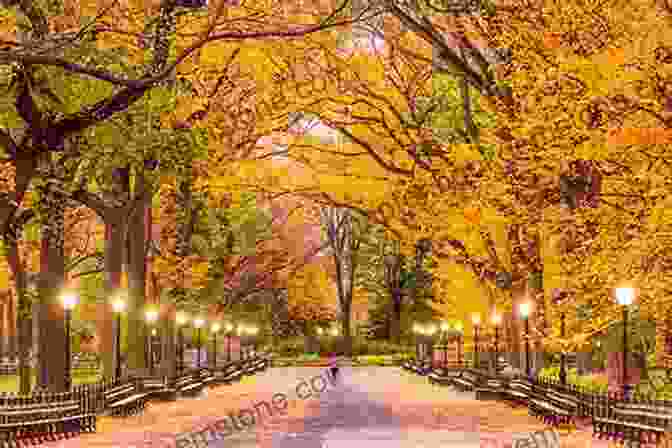 A View Of Central Park In The Autumn, With The Leaves Changing Color Alone Time: Four Seasons Four Cities And The Pleasures Of Solitude