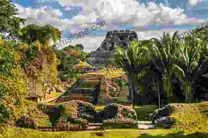 Ancient Mayan Ruins Nestled In The Lush Rainforest Of Belize Insight Guides Belize (Travel Guide EBook)