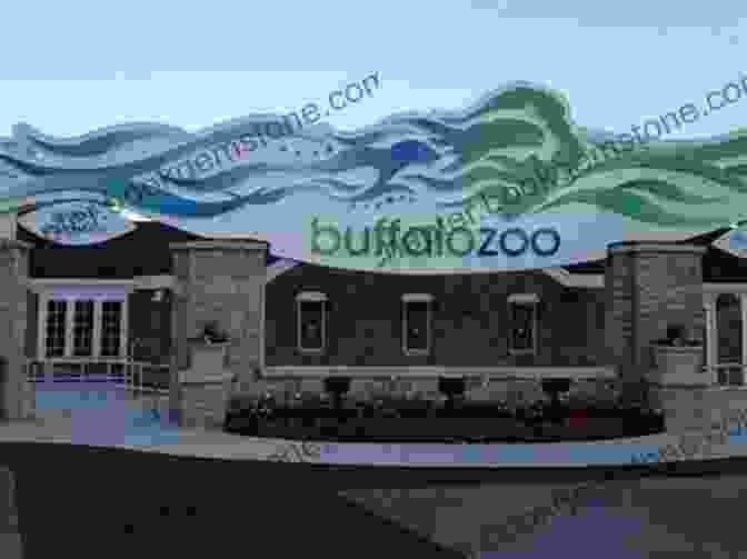 Buffalo Zoo Moon Niagara Falls: With Buffalo (Travel Guide)