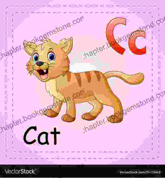 C Is For Cat Learn Alphabets Colorful Flashcards For Kids And Toddlers: Learn Alphabets A To Z With Pictures Preschool Learning Alphabet Letters For Kids