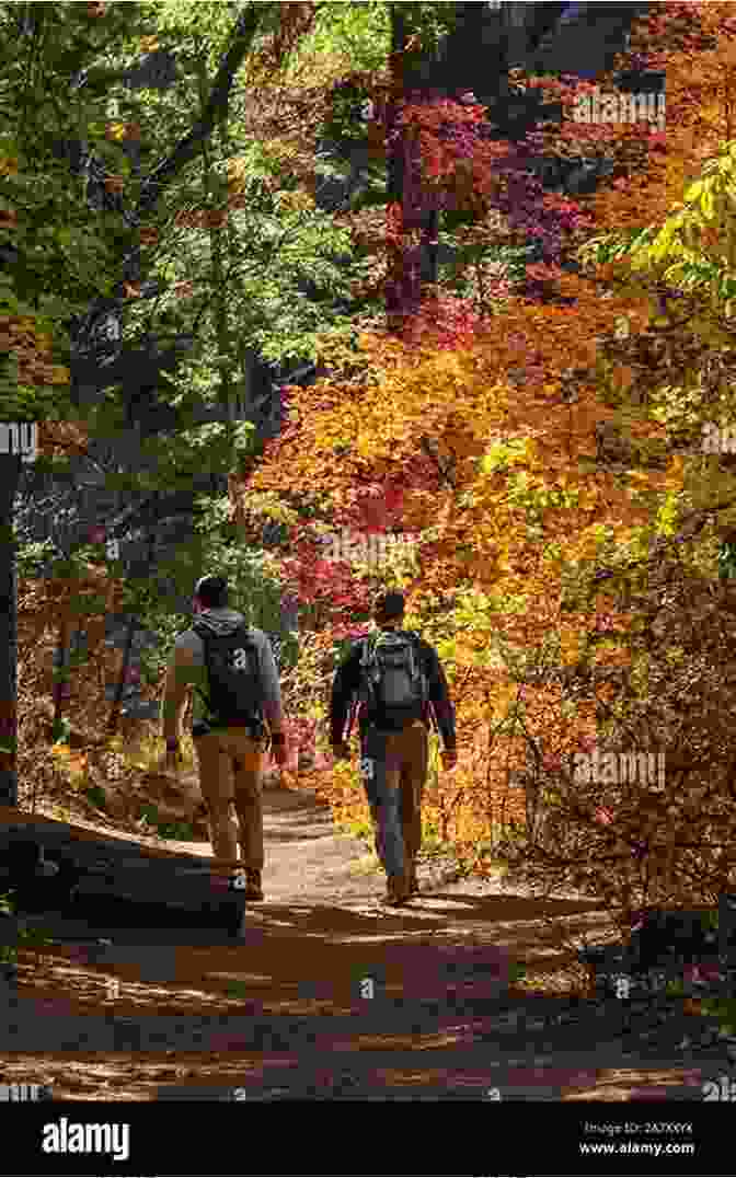 Hikers Admiring The Vibrant Fall Foliage Along The Bruce Trail, With Golden Leaves And Colorful Trees The Bruce Trail End To End: Niagara To Tobermory The Hard Way