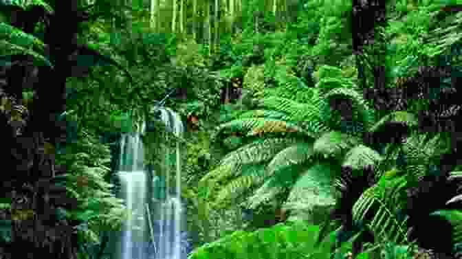 Lush Greenery And Vibrant Wildlife Of The Amazon Rainforest In The Heart Of The Amazon Forest (Penguin Great Journeys)