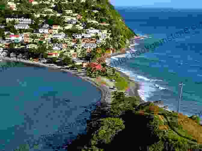 Lush Rainforest And Dramatic Coastline Of Dominica Dominica (Bradt Travel Guides) Paul Crask
