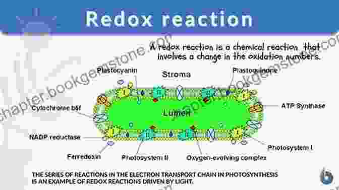 Redox Reactions And Cellular Respiration Advanced Level Chemistry For Life Unit 1