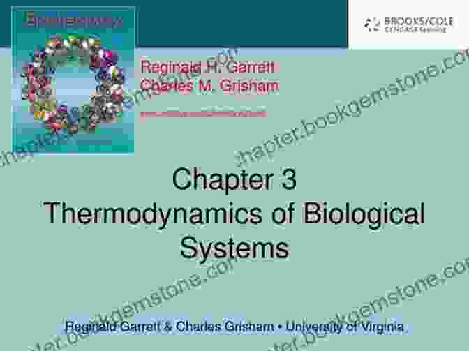 Thermodynamics And Equilibrium In Biological Systems Advanced Level Chemistry For Life Unit 1