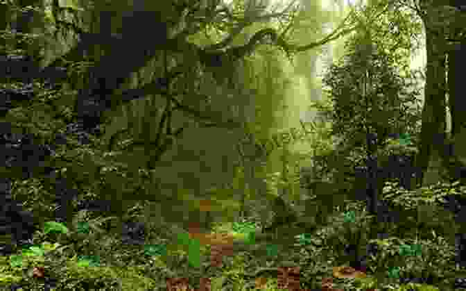 Vibrant Green Foliage Of The Amazon Rainforest The Other Worlds: Offbeat Adventures Of A Curious Traveler