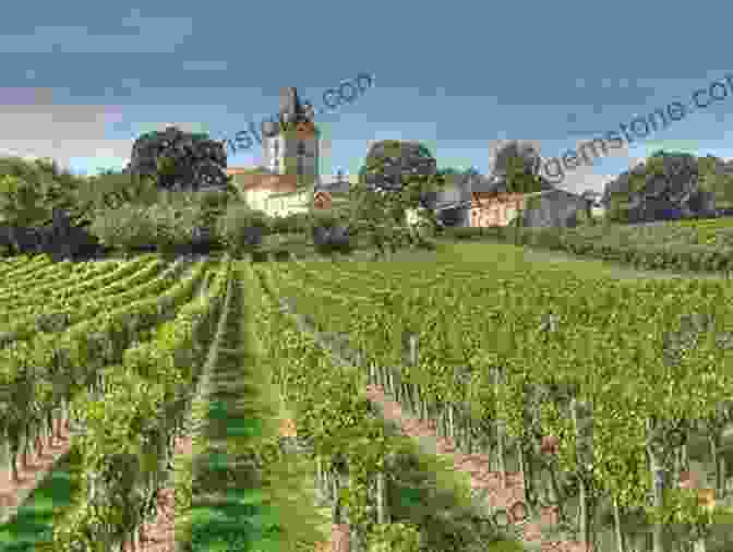 Vineyards In Bordeaux, France Where To Drink Wine: The Essential Guide To The World S Must Visit Wineries