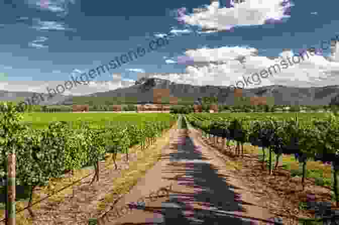 Vineyards In Hunter Valley, Australia Where To Drink Wine: The Essential Guide To The World S Must Visit Wineries