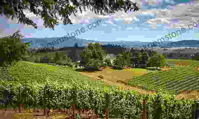 Vineyards In Oregon, USA Where To Drink Wine: The Essential Guide To The World S Must Visit Wineries