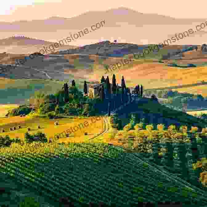 Vineyards In Tuscany, Italy Where To Drink Wine: The Essential Guide To The World S Must Visit Wineries