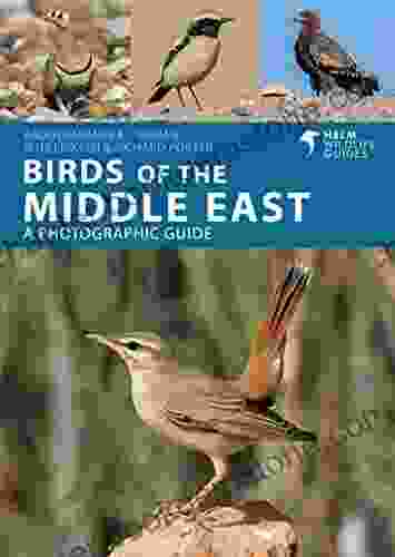 Birds Of The Middle East (Helm Wildlife Guides)